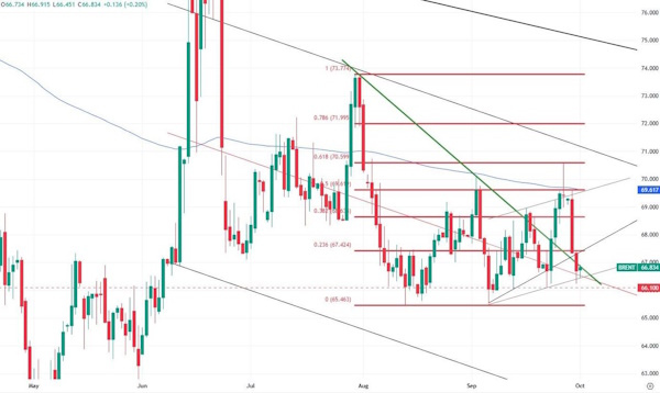 Как Shutdown влияет на сырьевые рынки
